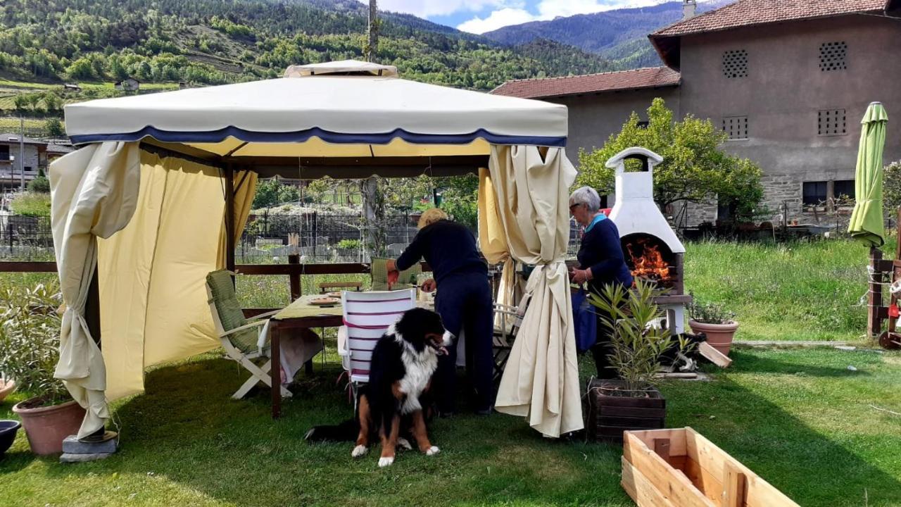 Appartamento Signorile Con Giardino Аоста Экстерьер фото